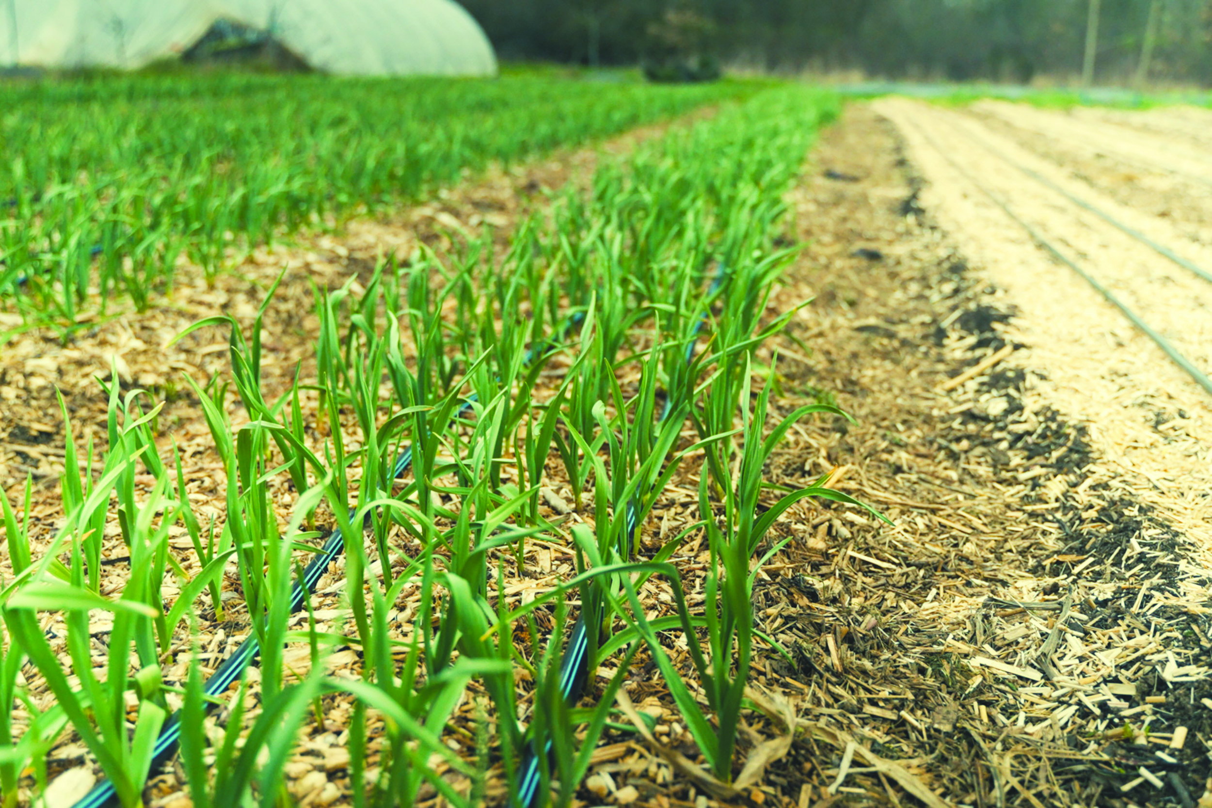annonces exploitations agricoles à vendre en Belgique