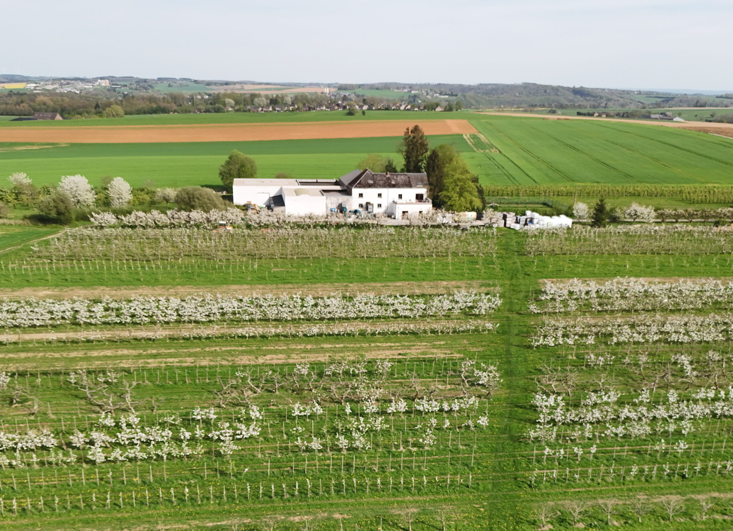 ferme à vendre