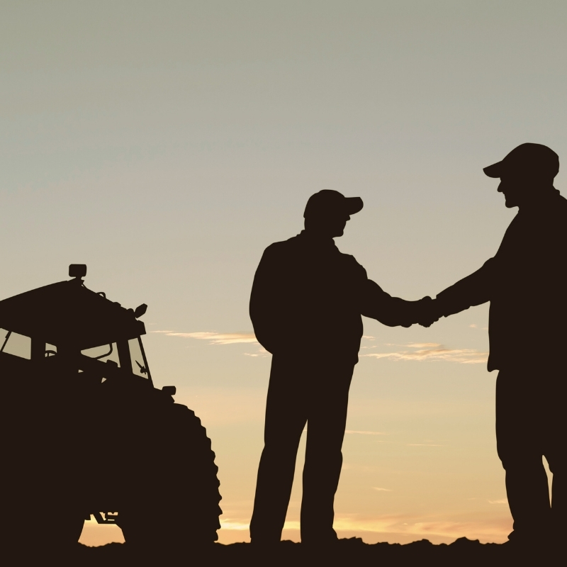 Annonce 36 – recherche associé·e